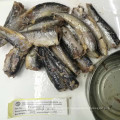 Canned Sardines Preservatives in Oil